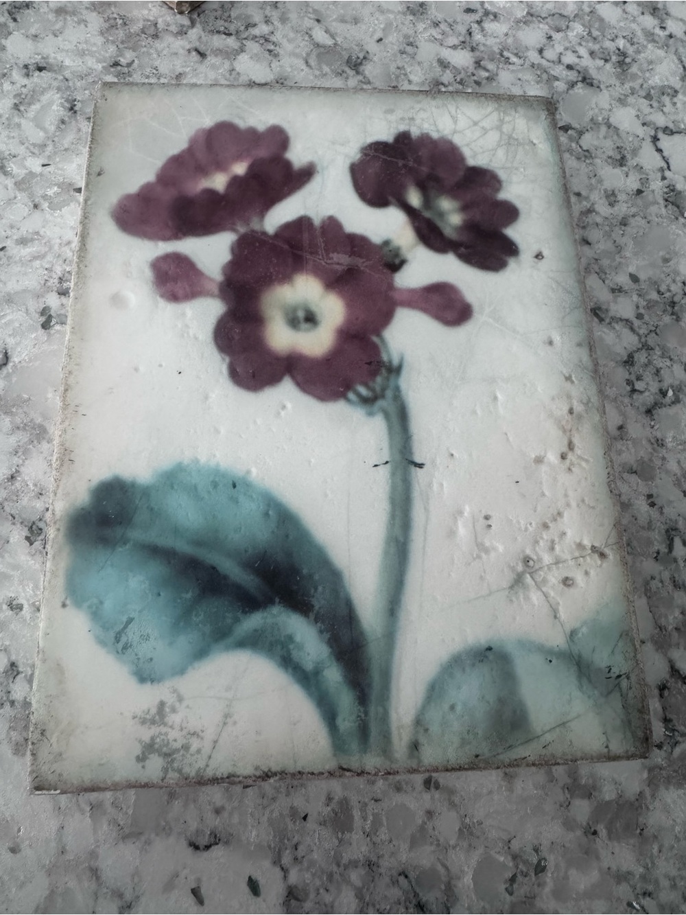 Sid Dickens T 261 Faerie Flowers  Memory Block - Faerie Flowers Plaque